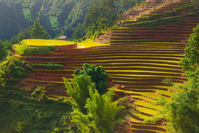 Best Utility Off Road Vehicles for Work & Terrain