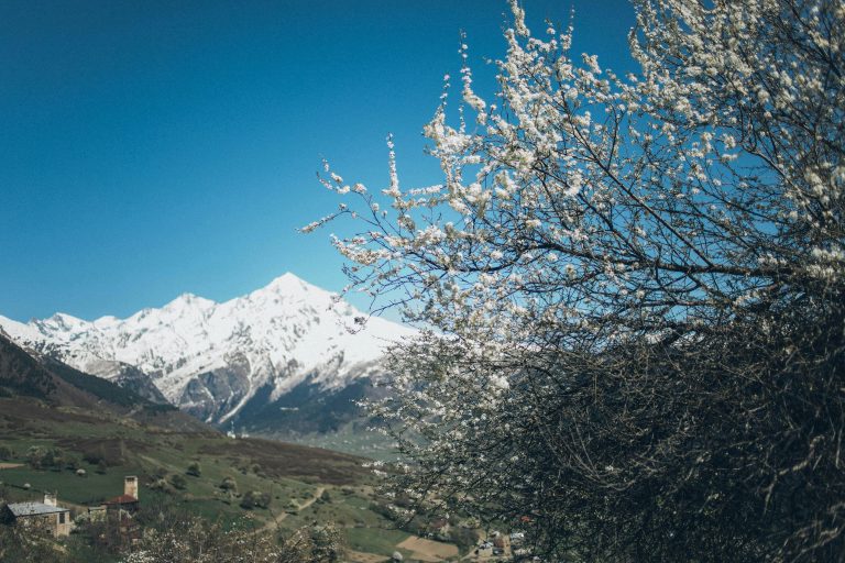 Twisted Trails Off Road Guide: Tips & Safety