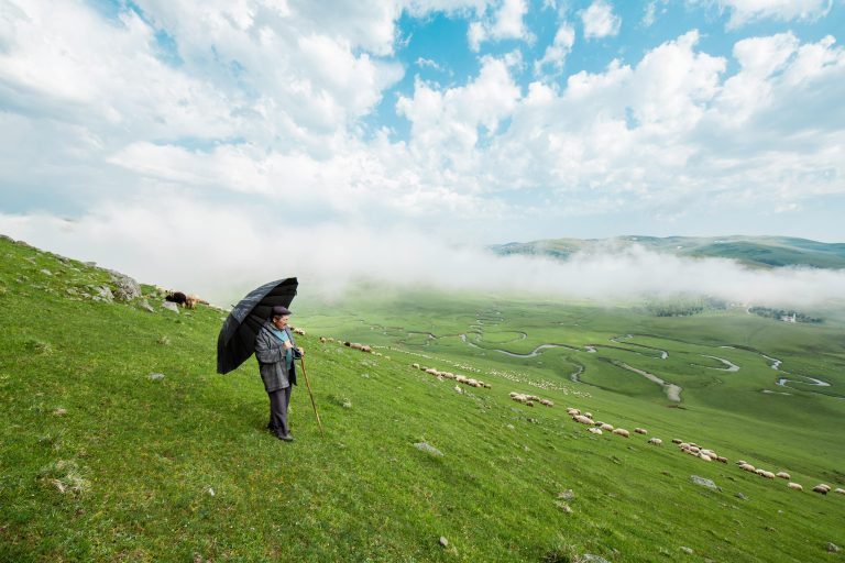 Downhill Braking Technique: Safe Driving Tips