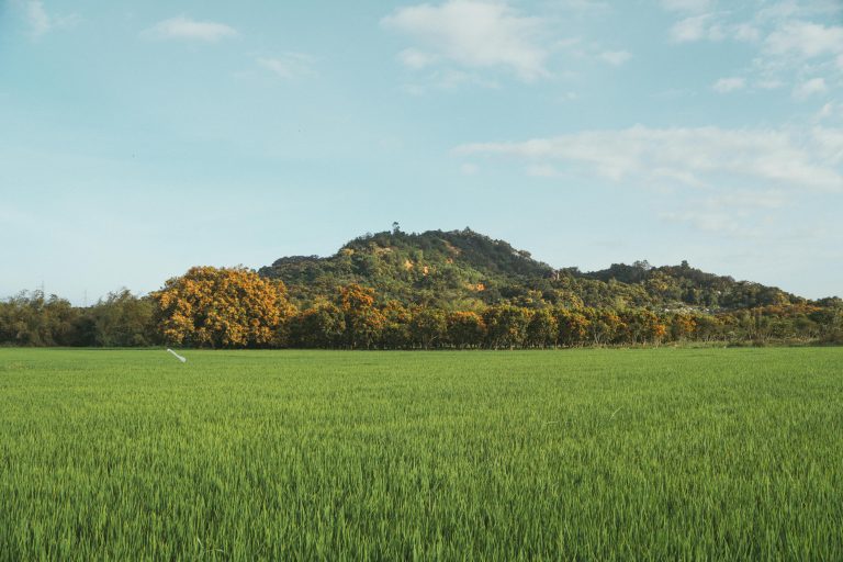 Best Off-Road RV Trailer Guide for 2026 Adventures