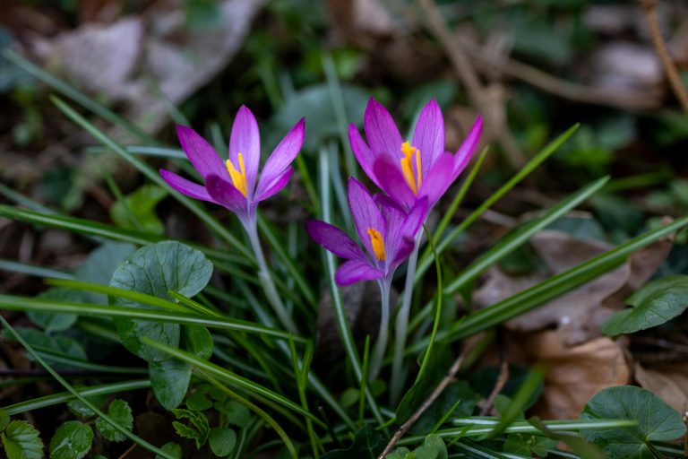 RV GFCI Breaker Trip Causes & Fix Guide