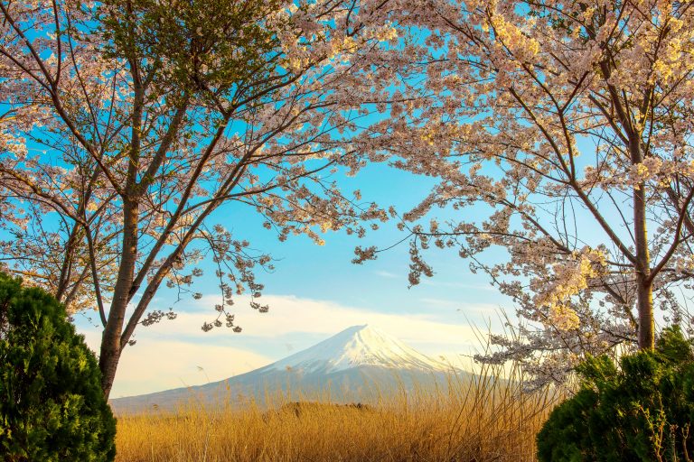 RV Campsite Setup Checklist: Easy Step-by-Step