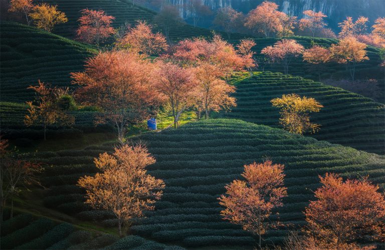 High Clearance Camper Guide for Off-Road Adventures