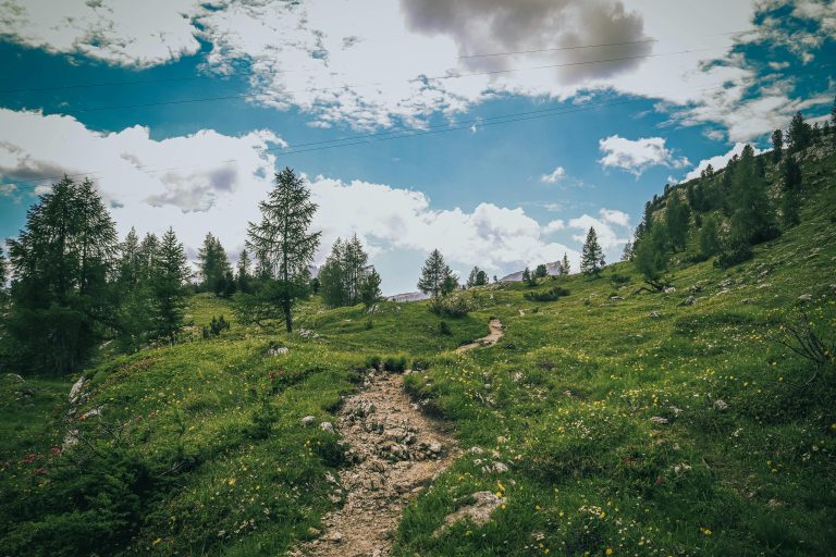 Rambler RV Features and Layout Guide