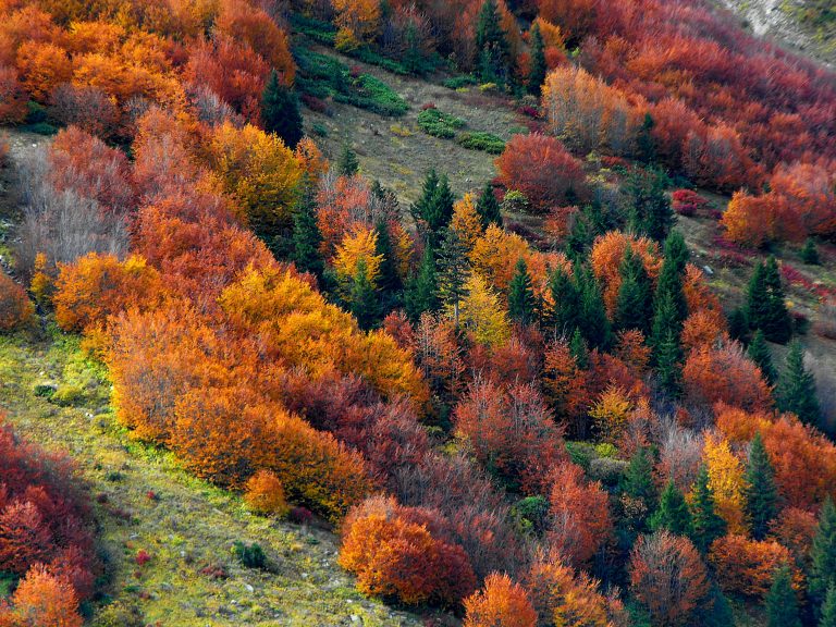 How to Build an Off Road Vehicle Step by Step