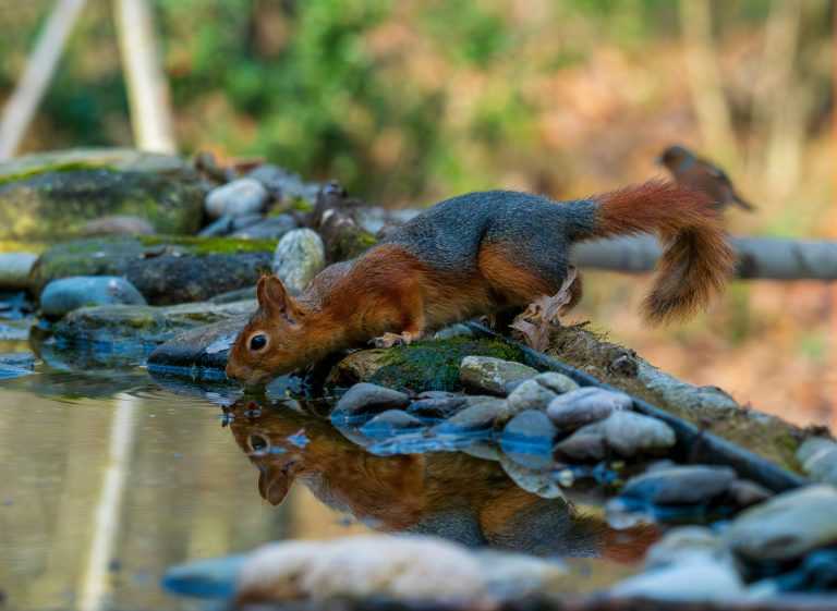 Dust Intrusion RV: Find and Fix Leaks Fast