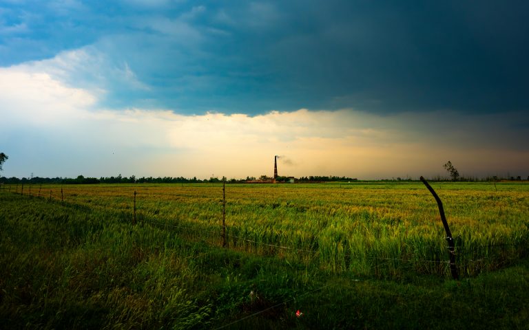 Off Road Driving Trails Near Me: Find the Best Routes