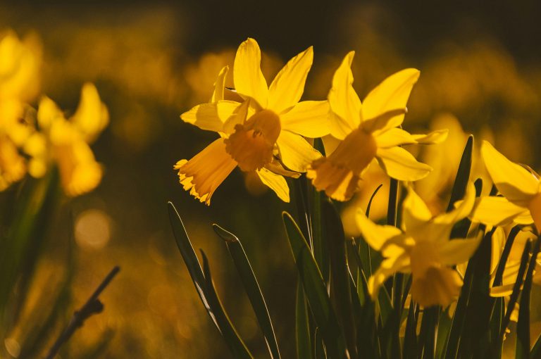 On the Road RV Guide: Lifestyle, Tips & Setup